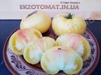 Tomato '1884 Yellow Pinkheart'