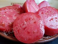 Tomato 'Abakansky Rozovyi (Abakan Pink)'