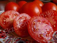Tomato ' Amursky Shtamb (Амурский штамб)'