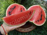 Watermelon 'Sweet trio'