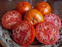 Tomato 'Avuri'