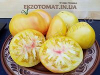Tomato 'White Oxheart'