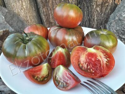 Tomato 'Black Giant'