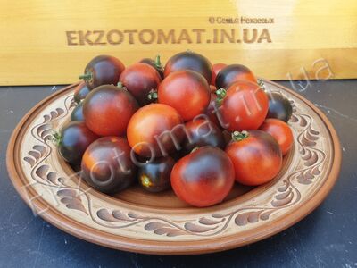 Tomato 'Blaue Zimmertomate'