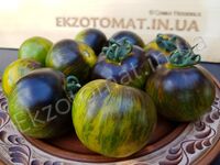  Tomato 'Blue Green Zebra'
