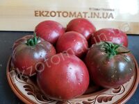 Tomato 'Brandywine Black'