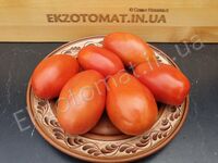 Tomato "Chudo Vnukovoy"