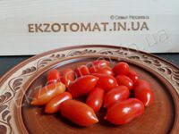 Tomato 'Datterino'