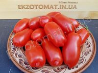 Tomato 'Dix Doigts de Naples'