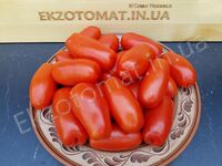 Tomato 'Drova (Дрова)'