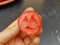 Tomato 'Drova (Дрова)'