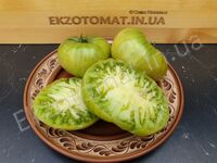 Tomato 'Dwarf Summertime Green'