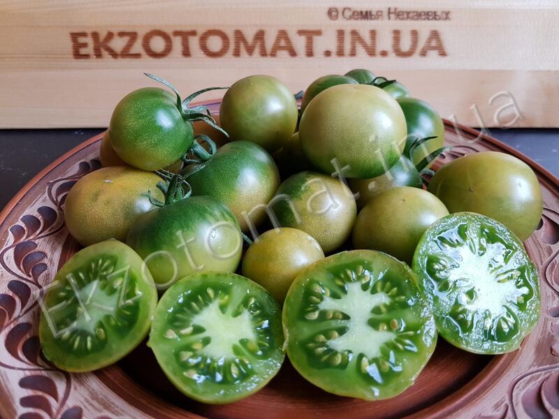 Tomato 'Emerald'