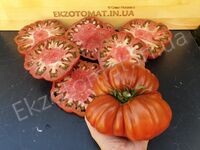Tomato 'Fleur de Reagir'