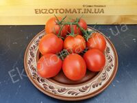Tomato 'Grappolo'