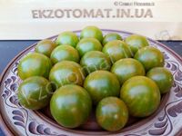 Tomato 'Green Zebra Cherry'