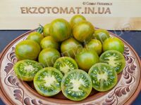 Tomato 'Green Zebra Cherry'