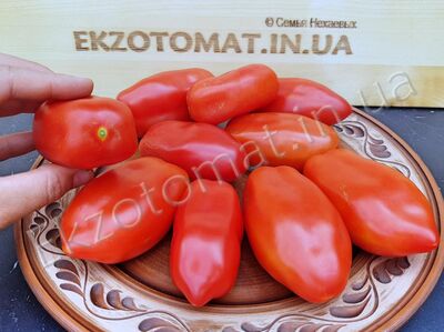 Tomato 'San Morzano'