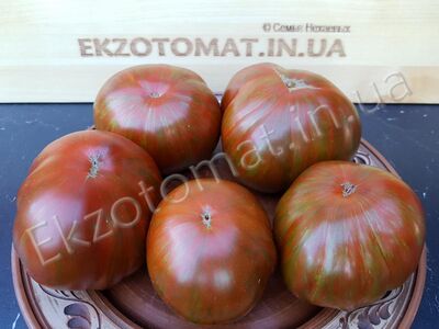 Tomato 'Large Black&Red Boar'