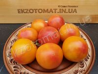 Tomato 'Little Lucky Heart'