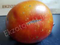 Tomato 'Lucid gem'