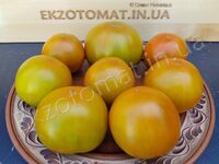 Tomato 'Marz Round Green'
