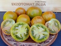 Tomato 'Marz Round Green'