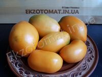 Tomato 'Minusinskiye Stakany Oranzhevye'