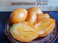 Tomato 'Minusinskiye Stakany Oranzhevye'