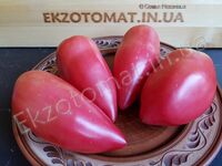Tomato 'Stakany Rozovye Minusinskiye'