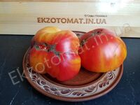 Tomato 'Peppermint'
