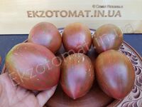 Tomato 'Pearls of wishdom'