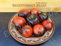 Tomato 'Red Beauty'