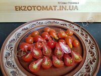 Tomato 'Red Dwarf Romanian'