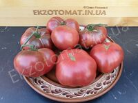 Tomato 'Rosella Purple'