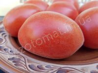Tomato 'Scheherazade'