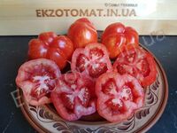 Tomato 'Schimmeig Stoo'