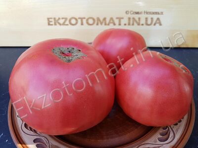Tomato 'Bag'