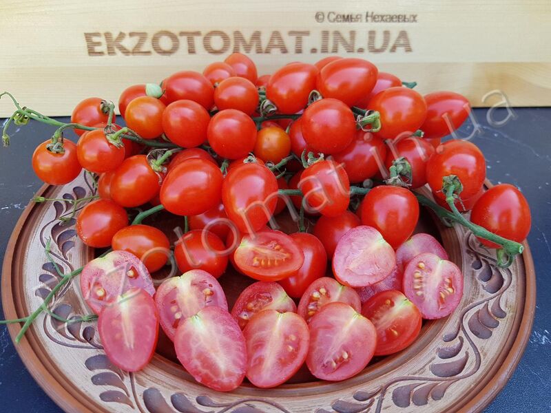 Tomato 'Tomatoberry'
