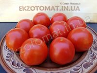 Tomato "Yuliana"