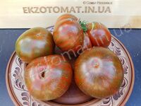 Tomato 'Zebra Ezel'