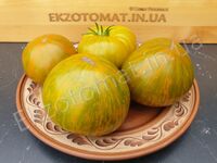 Tomato 'Zebra Zolta'